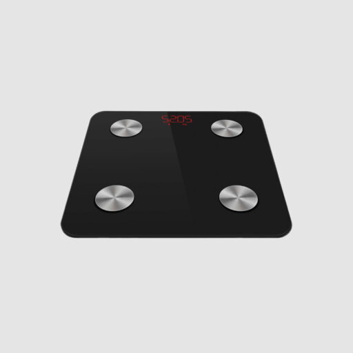 Smart Bathroom Scale